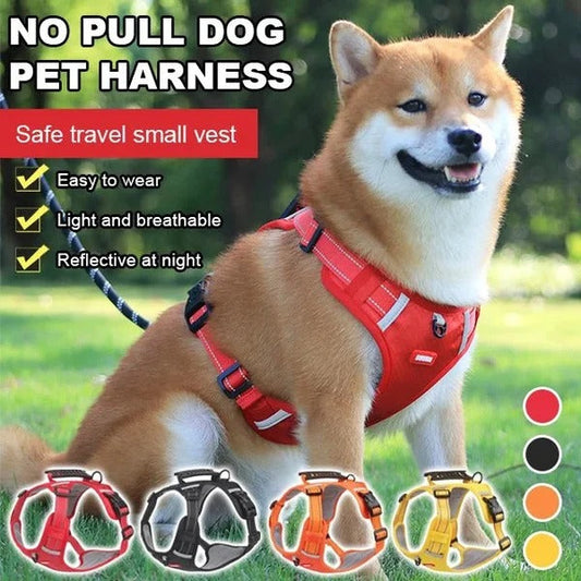🐕 Pet póráz