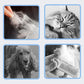 🐾 🐱 Hatékony szőrfésű háziállatok számára🐶