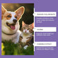 🐶🐱Gyengéd szemöblítő kutyák és macskák számára