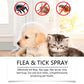 🐶🐱 Természetes bolha- és kullancsirtó spray kutyáknak és macskáknak