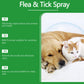 🐶🐱 Természetes bolha- és kullancsirtó spray kutyáknak és macskáknak