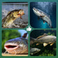 🐟 Rendkívül jól lebegő horgok