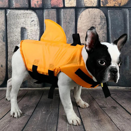 🦈 Állítható, cápa alakú kutyamentőmellény🌊