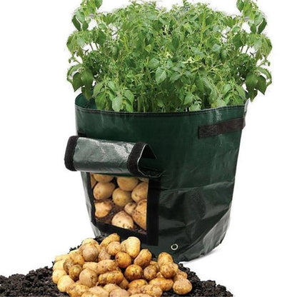 🔥 Gyümölcs- és zöldségtermesztő zsákok🥔🍅
