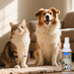 🐶 Fogápoló spray háziállatoknak